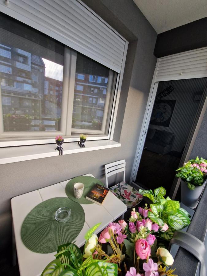 Apartman Astra سريمسكا ميتروفيكا المظهر الخارجي الصورة